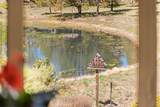 58033 Mulligan Lane - Photo 31