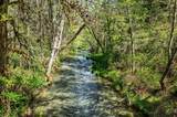 23210 Evans Creek Road - Photo 54