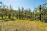 23210 Evans Creek Road - Photo 56