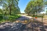 4640 Scenic Avenue - Photo 86