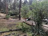 20011 Alderwood Circle - Photo 6