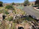 58392 Antelope Lane - Photo 36