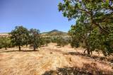 4195 Rachel Way - Photo 8