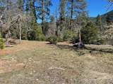  Kinney Cr Road - Photo 2