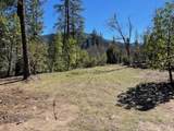  Kinney Cr Road - Photo 9