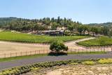 15 Vineyard View Circle - Photo 91