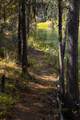 53596 Brookie Way - Photo 43