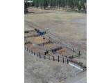 29951 Oregon Pines Road - Photo 44