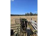 29951 Oregon Pines Road - Photo 46