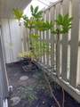 993 Siskiyou Boulevard - Photo 28