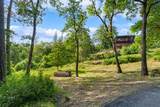 1026 Schoolhouse Creek Road - Photo 7