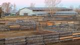 22333 Nelson Road - Photo 52