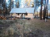 9214 Mina Bird Drive - Photo 1