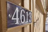 4613 Marsh Hawk Drive - Photo 3