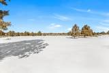 22122 Rickard Road - Photo 13