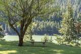 49867 Hills Creek Road - Photo 54