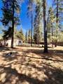 16044 Bull Bat Lane - Photo 24