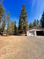 16044 Bull Bat Lane - Photo 30