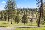 44765 Alder Creek Road - Photo 34