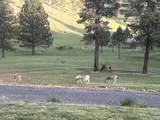 44765 Alder Creek Road - Photo 53
