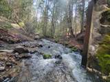 1525 Baldy Creek Road - Photo 23