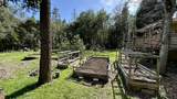 3519 Thompson Creek Road - Photo 14
