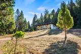 24100 Evans Creek Road - Photo 10
