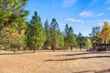 24100 Evans Creek Road - Photo 98