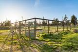 12174 10th Street - Photo 22