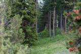 61702 Middle Fork Lane - Photo 39