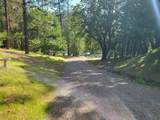 6041 Sterling Creek Road - Photo 33