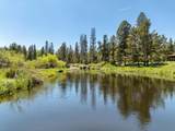 55855 Hashknife Road - Photo 1