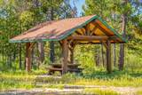 55855 Hashknife Road - Photo 11