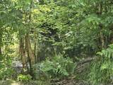 261 Fay Lane - Photo 40