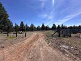 15534 Fishhole Creek Road - Photo 37