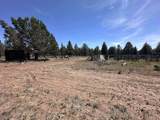 15534 Fishhole Creek Road - Photo 38