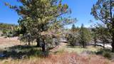 11574 Nye Avenue - Photo 2