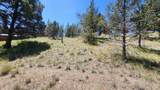 11574 Nye Avenue - Photo 6