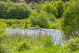 8110 Grubstake Way - Photo 10
