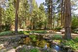 54949 Mallard Drive - Photo 60