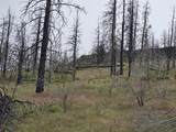  Oregon Pines Road - Photo 1