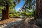 750 Park Street - Photo 8