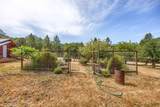 1472 Sardine Creek Road - Photo 50