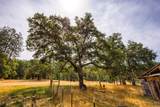 1472 Sardine Creek Road - Photo 60
