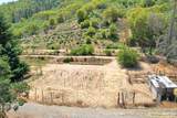 2231 Humbug Creek Road - Photo 4