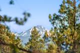 60360 Horse Butte Road - Photo 36