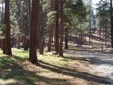 17707 Skeen Ranch Road - Photo 14