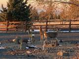 5720 Pueblo Road - Photo 28