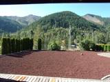 375 Jordan Creek Road - Photo 5