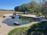 377 Pelton Lane - Photo 4